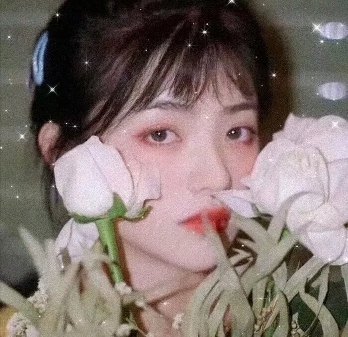 黑蝴蝶